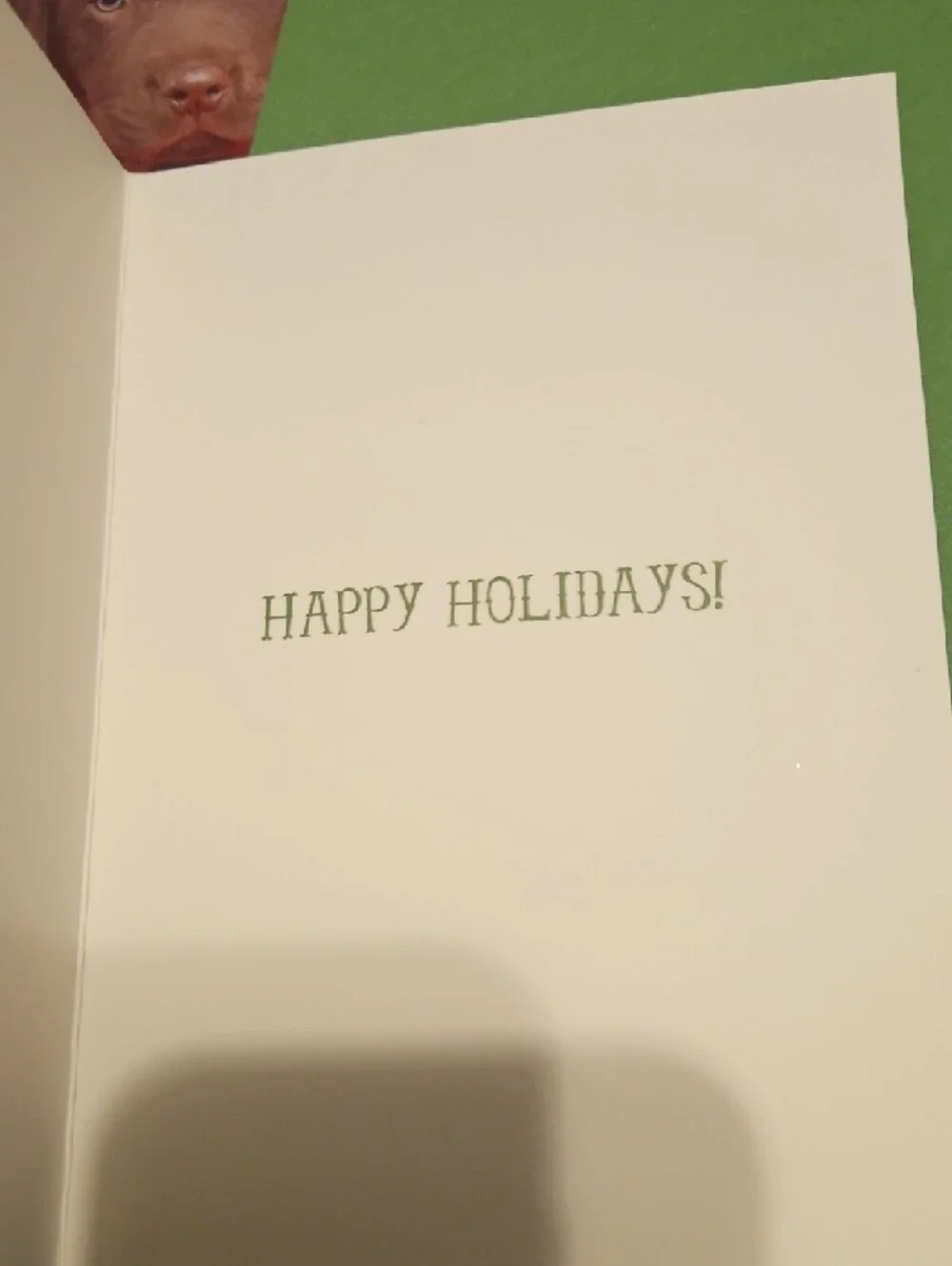 Set Of 3 Chocolate Puppy Christmas Cards with Red Background